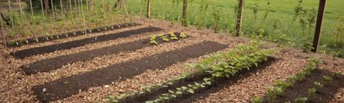 Houtsnippers Gezocht voor Ecologische Tuin