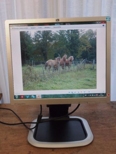 HP Compaq LA 1951 g 19034 monitor. Roterend scherm.