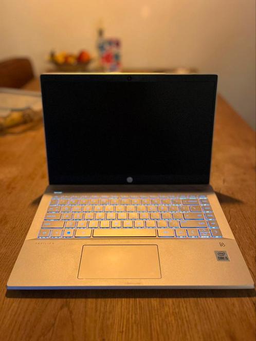 HP Pavilion 14 inch goud