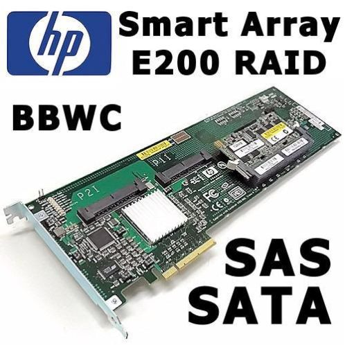 HP Smart Array E200 SAS SATA RAID Ctrls  8-ports  ESXi 5.x