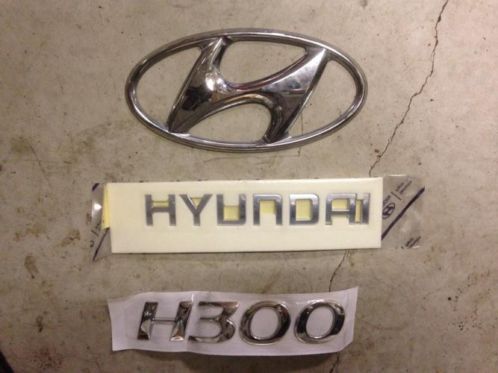 Hyundai H300 logo en letters