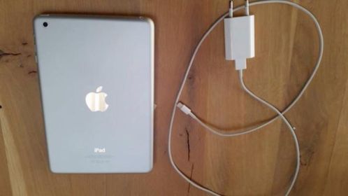 I pad mini