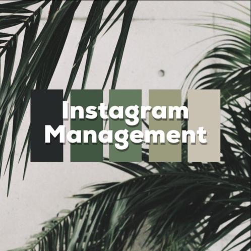 Instagram management team