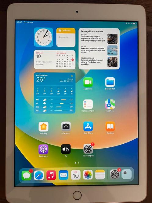 iPad 6e Generatie (2018) WiFi 32Gb Ros Goud