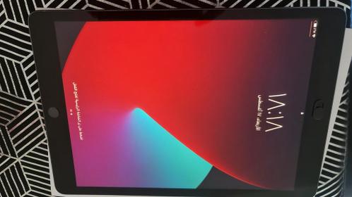 ipad 8 2018 32