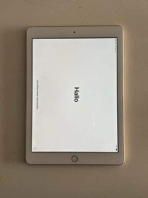 iPad A1822 (goud)