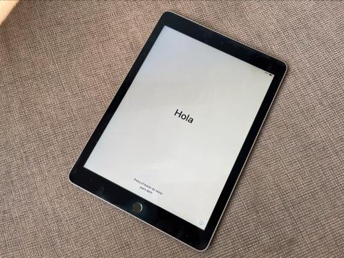 iPad Air 2 64GB Space Grey inclusief Decoded hoes en lader