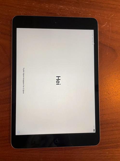 Ipad Air 2 Mini