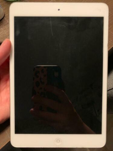 Ipad mini 1