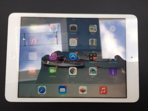 iPad Mini (1)