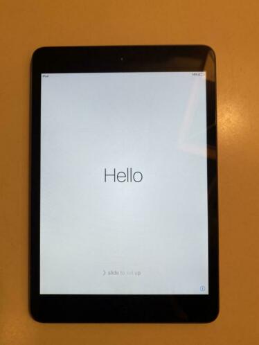 iPad mini 1