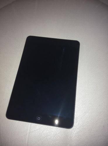 iPad Mini 1 Display Defect