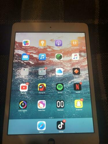 Ipad mini