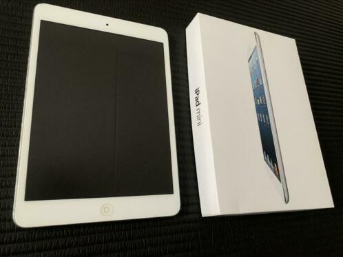 iPad Mini 16 GB