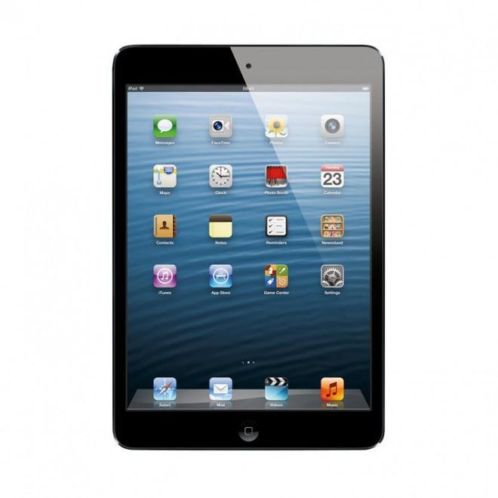 iPad Mini 16 GB