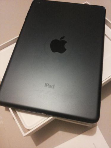 iPad Mini 16 gb