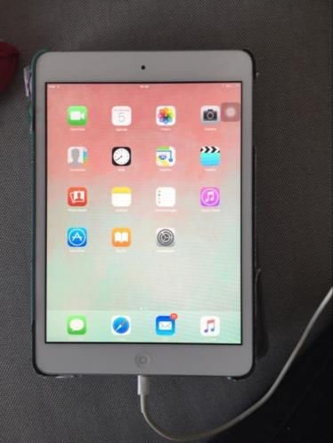 iPad mini 16 GB