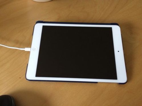 iPad Mini 16 GB