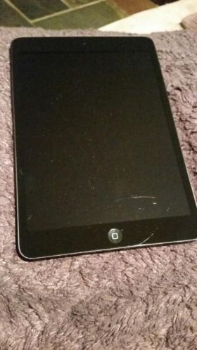 Ipad mini 16 gb  roze ipad hoes