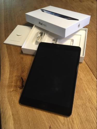 iPad Mini 16GB