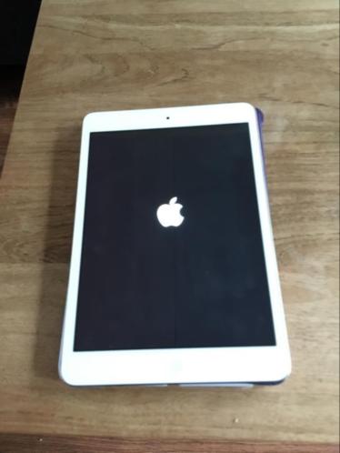 iPad mini 16gb (WiFi)