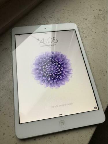 Ipad mini