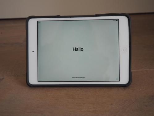 iPad mini 2