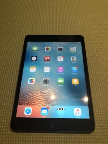 iPad mini 2