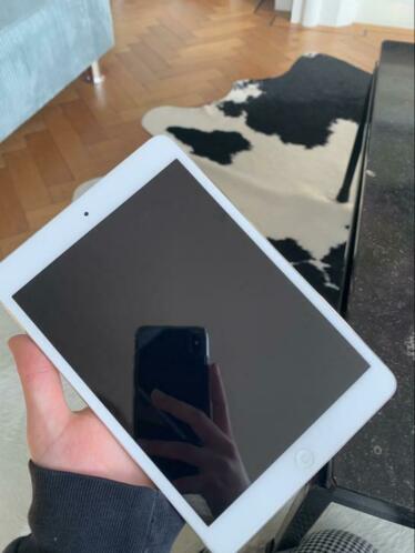 iPad mini 2