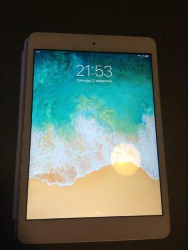 iPad mini 2 WitZilver 16Gb