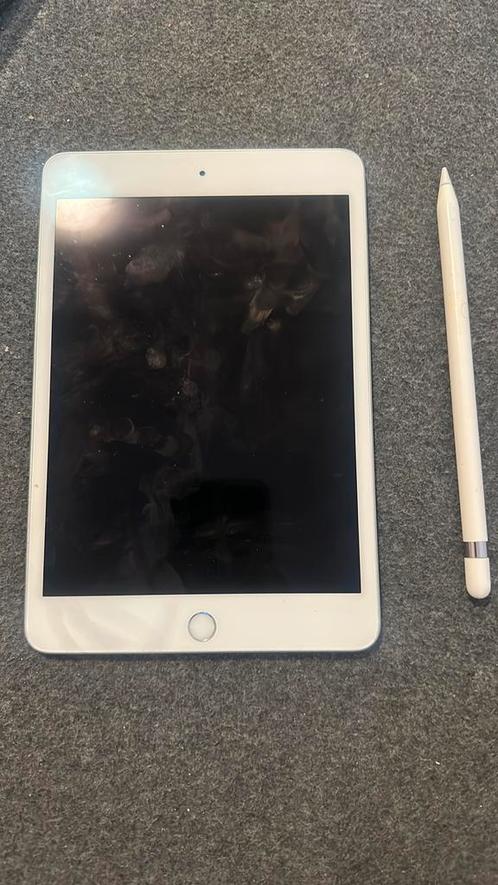 iPad Mini 2021 met Apple Pencil