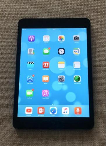 iPad mini 32 GB