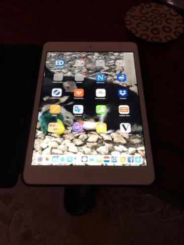 iPad mini 32 GB