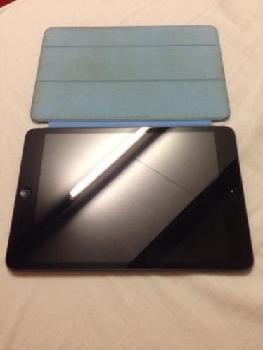 iPad mini