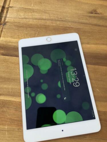 iPad mini 4