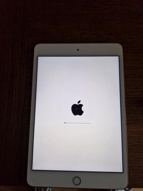 iPad mini 4 64GB