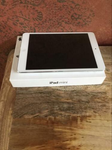 Ipad mini