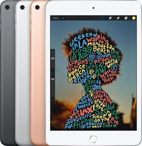 iPad mini 5 (2019)  7.9  256 GB  4G  rosgoud
