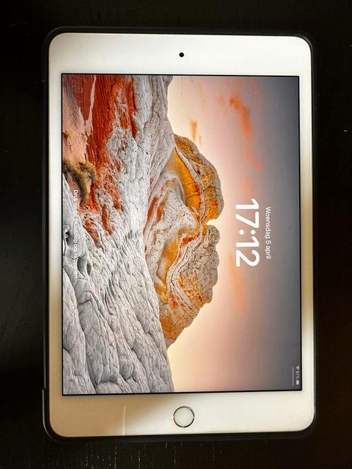 iPad mini 5 (2019) zgan