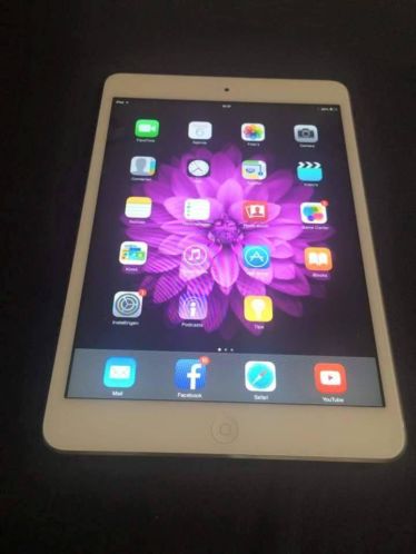 Ipad mini 