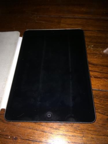 iPad mini