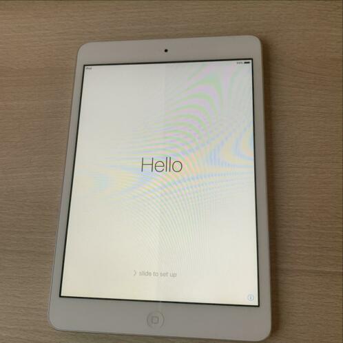 iPad mini