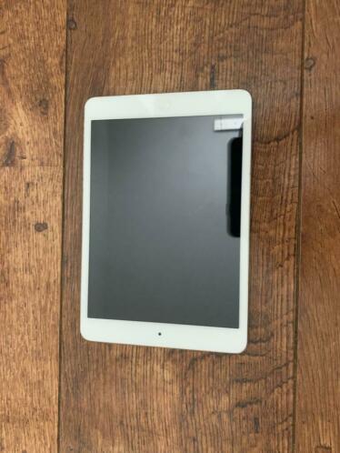 iPad mini