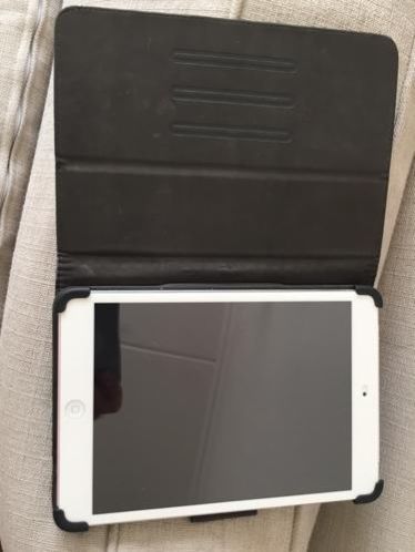 iPad mini