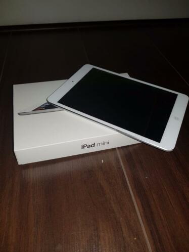 iPad mini