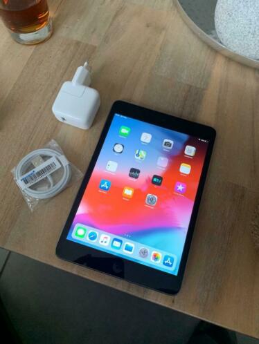 iPad mini 7.9 inch