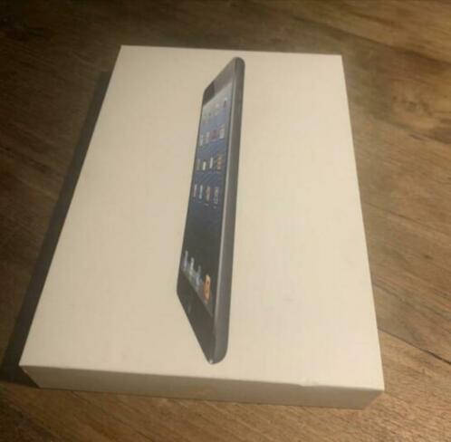 iPad mini