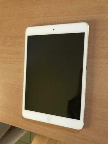 iPad mini