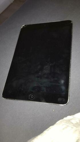 iPad mini