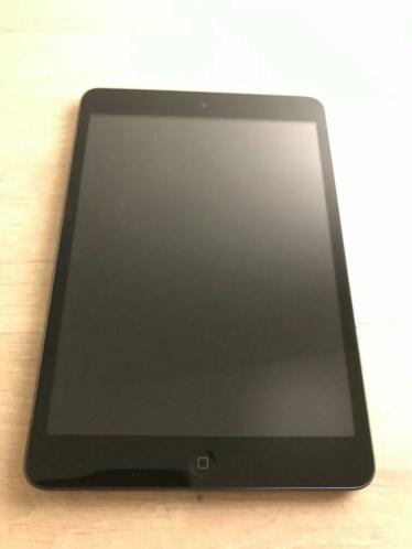 iPad mini
